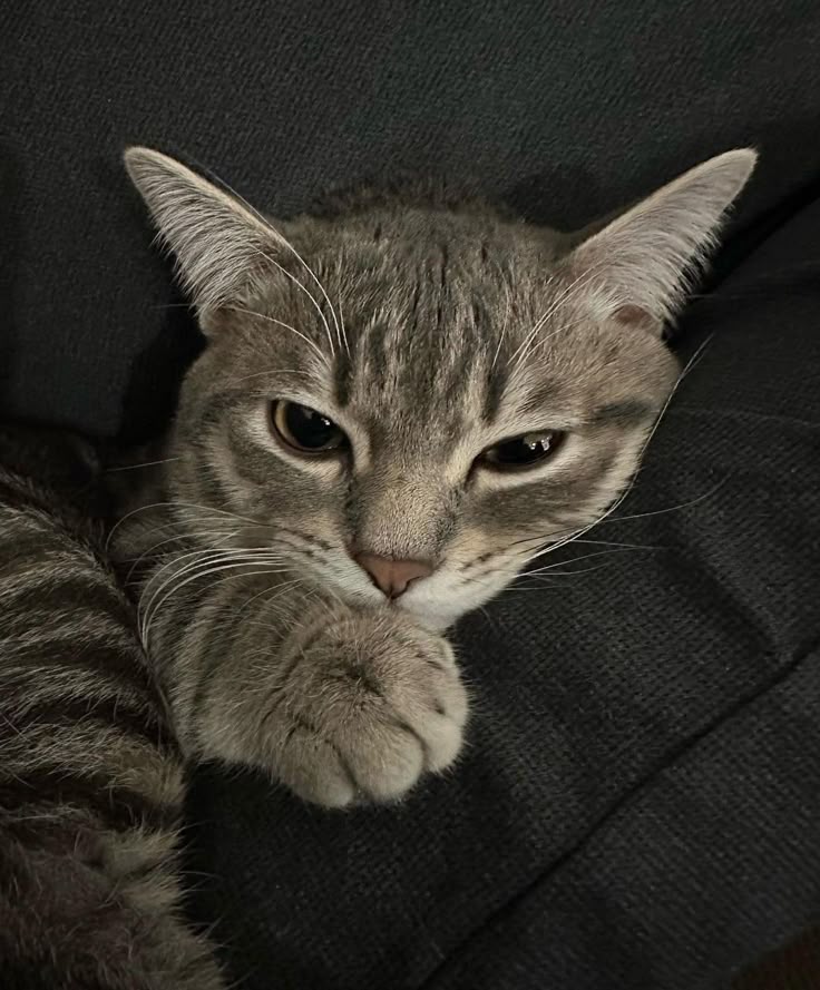rhea avatar